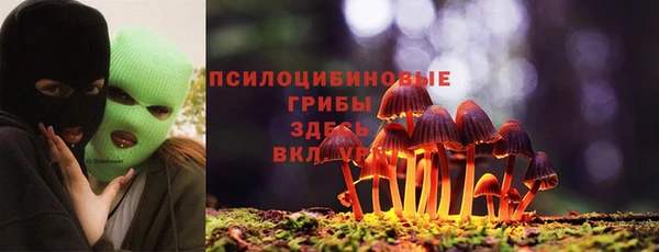 прущие крисы Алзамай