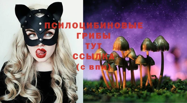 наркотики Алексин