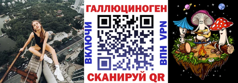 mega зеркало  Зеленоградск  Галлюциногенные грибы Psilocybe  где продают наркотики 
